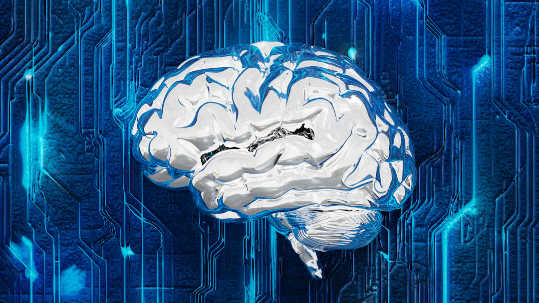 Unlocking the Secrets Exploring the Gut-Brain Connection