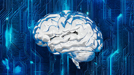 Unlocking the Secrets Exploring the Gut-Brain Connection