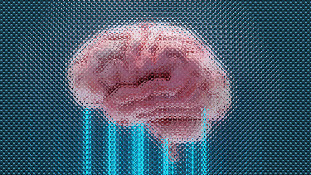 Enhance Mental Clarity with Natural Cognitive Support