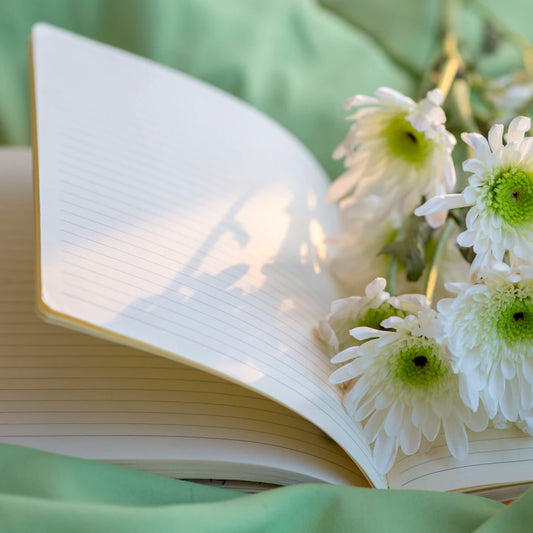 Mindfulness Journals for Self-Care and Daily Reflection