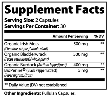 Holistic Health Sea Moss Capsules for Wellness - Luvmee Body