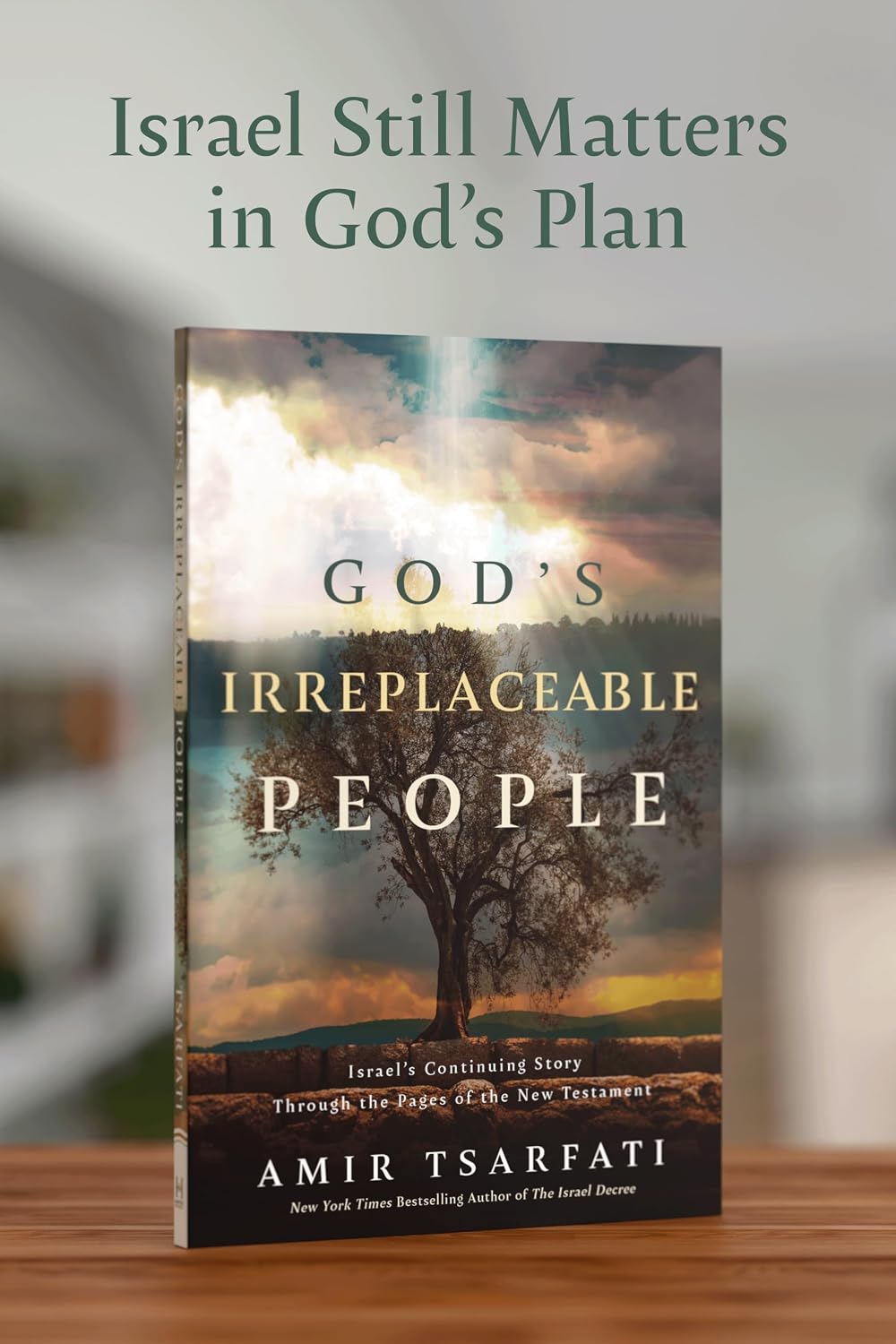 God's Irreplaceable People: A New Testament Study of God’s Promises to the Jewish Nation