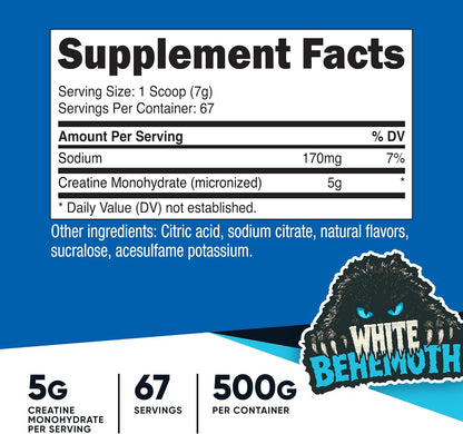 Nutricost Micronized Creatine Monohydrate Powder - 500g (100 Servings) - Pure Unflavored - 5g Per Serving - Non-GMO, Gluten Free