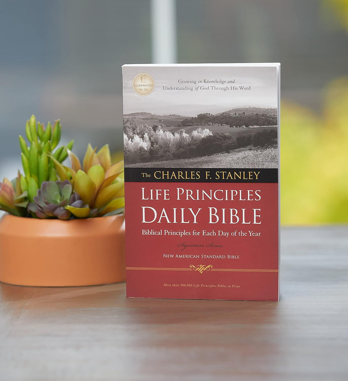 NASB, The Charles F. Stanley Life Principles Daily Bible, Paperback, 1995 Text: Holy Bible, New American Standard Bible