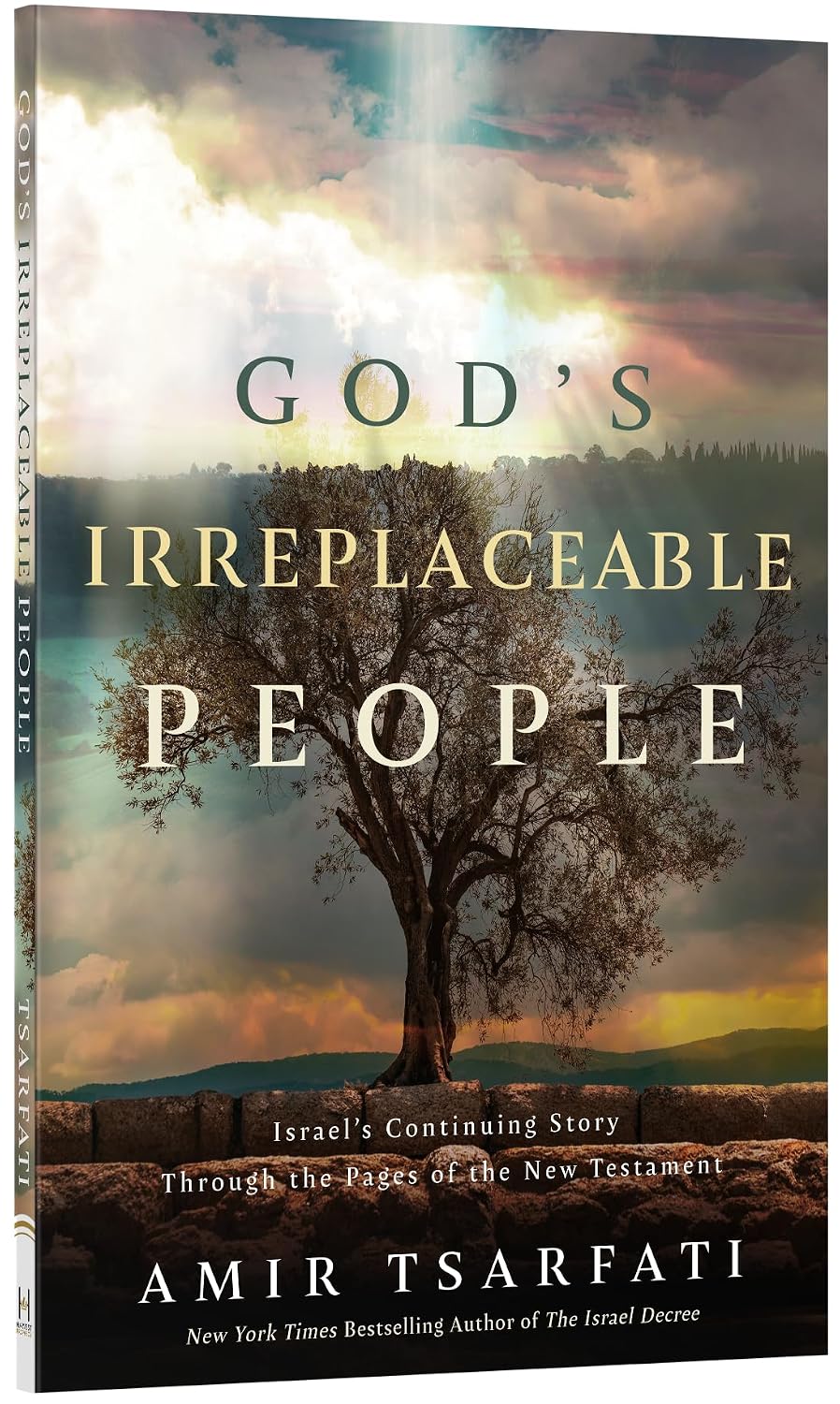 God's Irreplaceable People: A New Testament Study of God’s Promises to the Jewish Nation