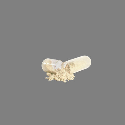 Luvmee Body Gut Wellness Products featuring capsules and powder for digestive health